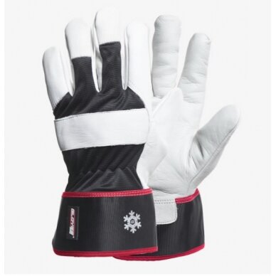 Pirštinės, BLACK WORK COLD 10, Gloves Pro®